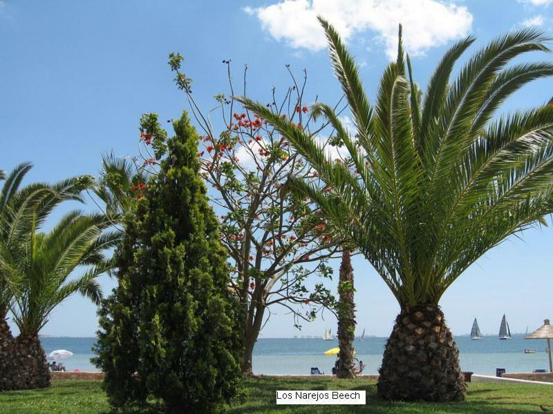 Beautiful 1 Bedroom Apartment In Roda, Los Alcazares. Larger Than Average. Exterior foto
